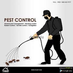 General Pest Control service and house cleaning