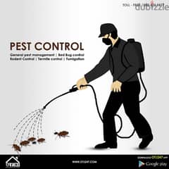 Quality pest control services and house cleaning