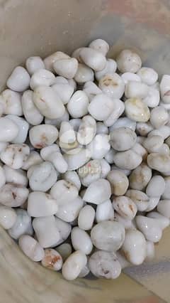 Marble white stones -15 kg