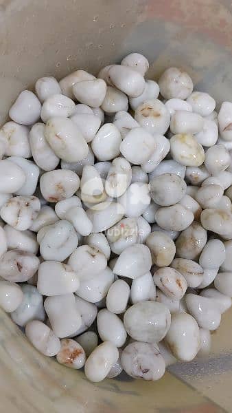 Marble white stones -15 kg 0