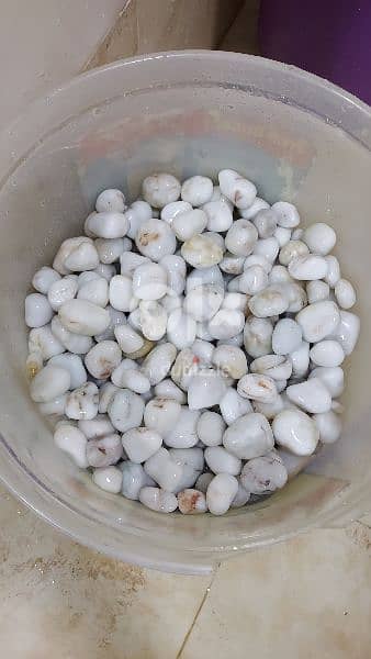 Marble white stones -15 kg 1