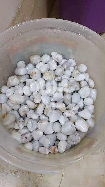 Marble white stones -15 kg 2