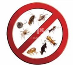 I have professional pest control services and I