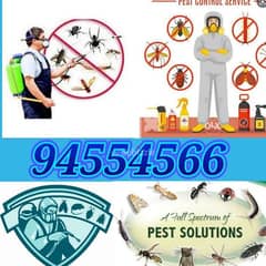 I have pest control services and house cleaning 0
