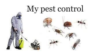 We have pest control services and house cleaning services