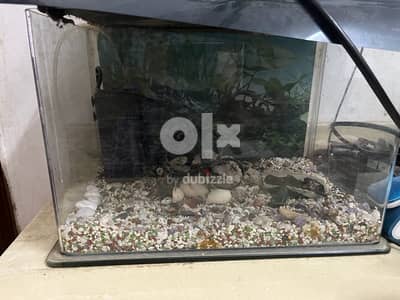 Aquarium Fish tank for sale