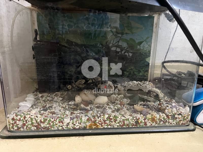 Aquarium Fish tank for sale 1