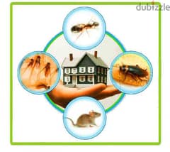 pest control services and house cleaning services
