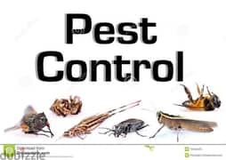 We have professional pest control services
