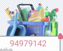 Professional home & apartment deep cleaning service 0