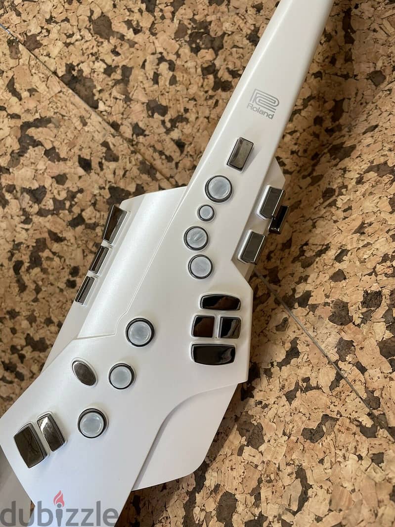 Roland AE10 Aerophone Digital Wind Instrument - White 0