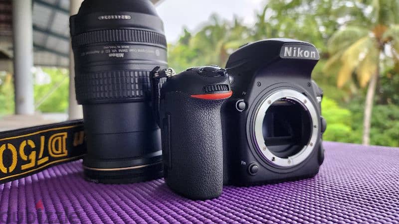 Nikon D750, full frame professional DSLR 8