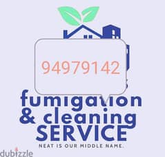 home cleaning house cleaning apartment cleaning villa cleaning flat 0