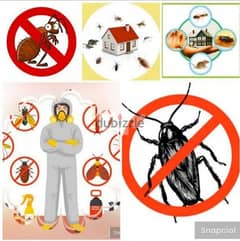 We have professional pest control services and house cleaning