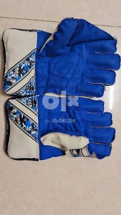 Cricket wicketkeeping gloves 0