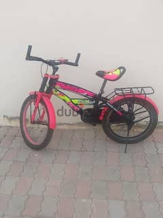 Girls Bicycle 0