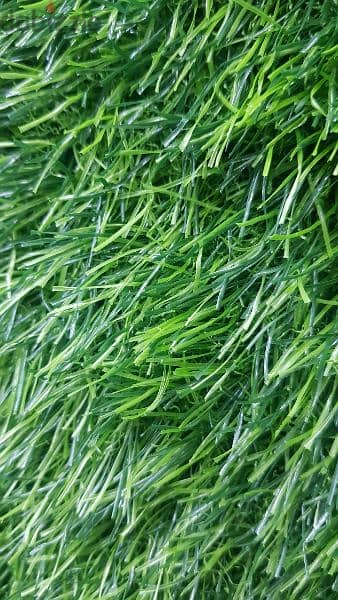 Artificial Grass