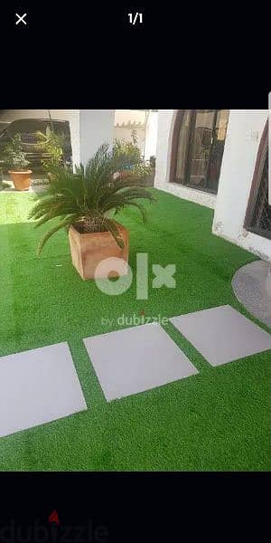 Artificial Grass