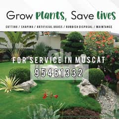 Gardening/Cleaning/Grass work/Plants &tree cutting service