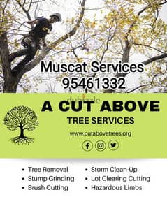 we do all kinds of Gardening Cutting cleaning & Grass work 0