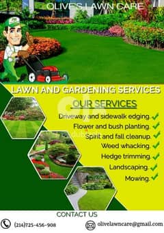 Garden maintaining Plants tree cutting rubbish cleaning
