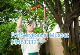 Plants and Tree cutting Garden cleaning service 0