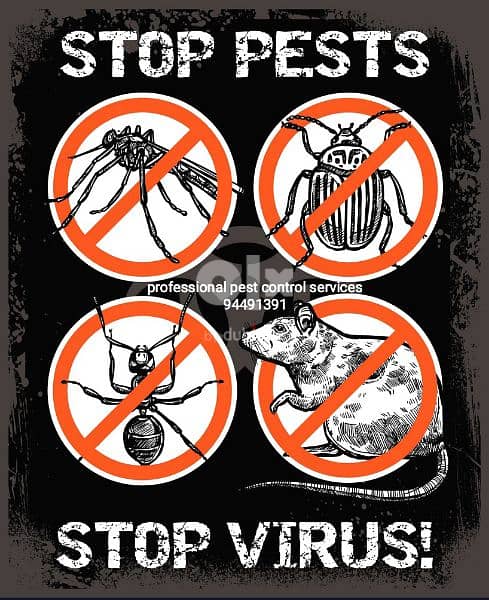 we have professional pest control services { 94491391 3