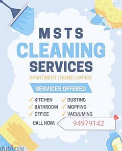 Professional home cleaning service
