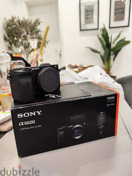 Sony A6600 APSC 1