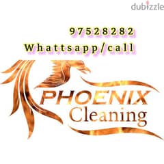 House Villa Garden Cleaning Water tank Cleaning Pest Control service