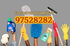House Flat Garden Cleaning Water tank Cleaning Pest control service