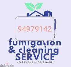 best home villa & flaat deep cleaning services