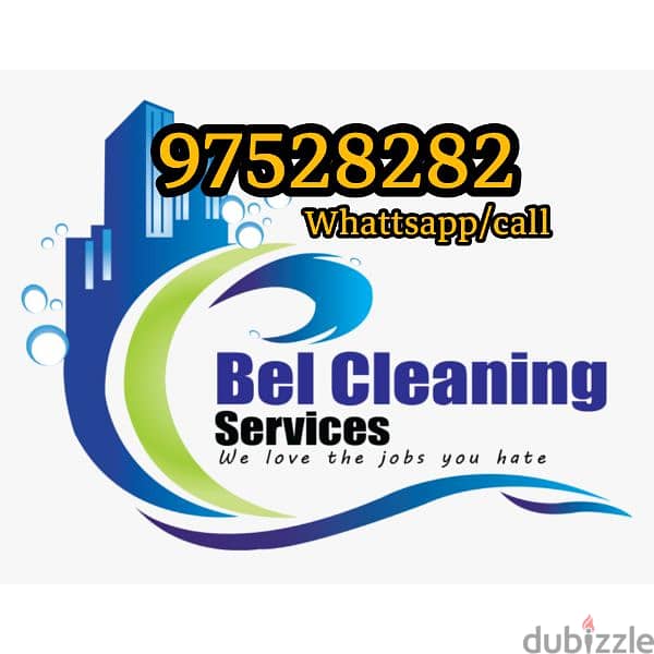 House Villa Flat Cleaning Water Tank Cleaning Pest treatment 0