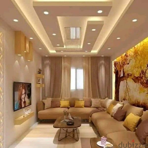 Decor Gypsum board and paint work 6