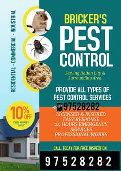 Pest Control Service/Bedbug's Insects Cockroaches Medicine Aviable
