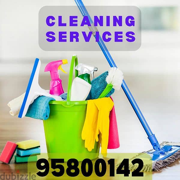 Cleaning services, House cleaning, apartment cleaning, Porch cleaning 0