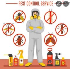 Pest Control service /Insects Lizard Cockroaches Solution