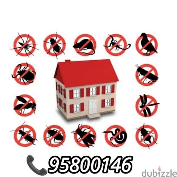 Pest control medicine available, bedbugs killer medicine, insects etc 1