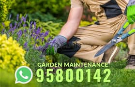 Garden Maintenance, Grass Cutting Artificial grass Watering Soil Seed 0