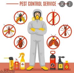 Pest Control service for House Flat Garden Or Office