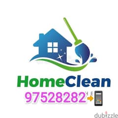 House Flat or Garden Cleaning Water tank cleaning pest control service 0