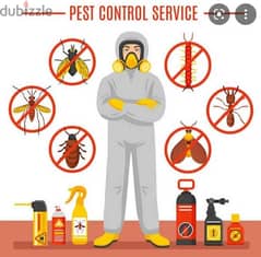 Pest Control Service all over Muscat 0
