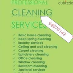 Professional house villa office apartment deep cleaning service 0