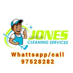 Home&Apartment Cleaning and Pest treatment service