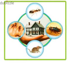 Pest Control Service for all kinds of Insects