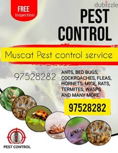 Pest Control Service all over Muscat