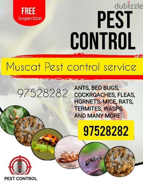Pest Control Service all over Muscat 0