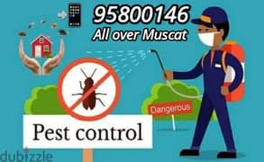 We have medicine for Bedbugs Lizards insects Cockroaches Pest control