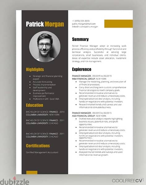 عمل سيره ذاتيه بطريقه احترافيه Professional Cv 1