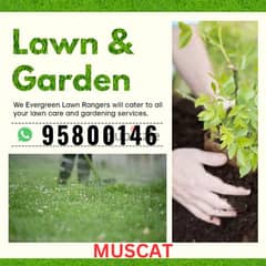 Plants cutting, Tree Trimming, Artificial grass, Garden Maintenance,